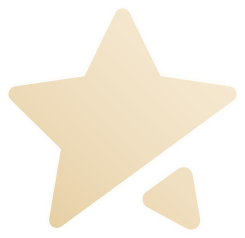 Starlet Icon Filled Starlet Icon Filled